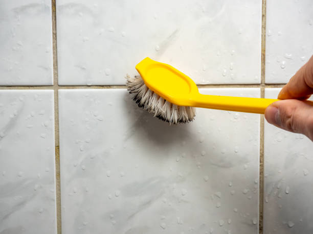 Best Mold Testing and Removal  in Richland, MS