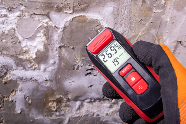 Best Certified Mold Removal  in Richland, MS