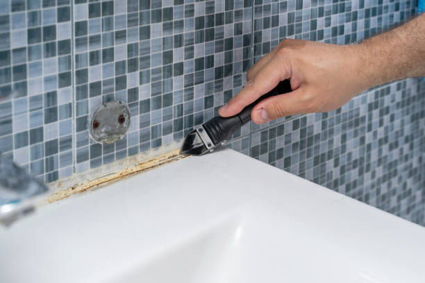 Best Commercial Mold Removal  in Richland, MS