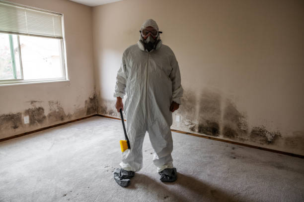 Best Mold Remediation Experts  in Richland, MS